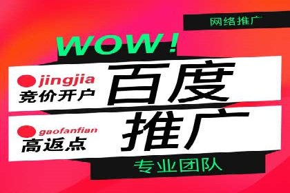 百度推广案例：如何实现广告效果最大化