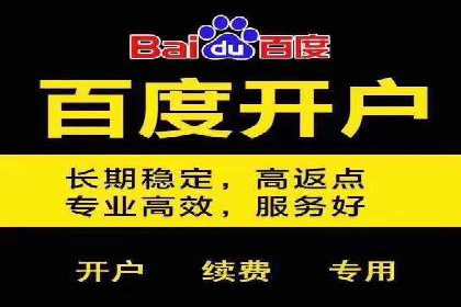 某行业巨头背后的SEM代运营服务公司
